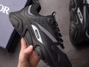 Dior B22