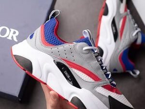 Dior B22