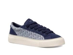 Dior B33
