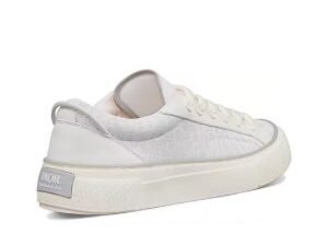 Dior B33