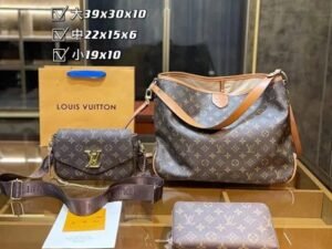 Louis Vuitton Fashion Bag 3