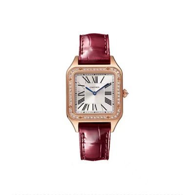 Cartier Watches 18