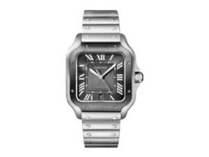 Cartier Watches 28