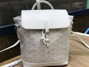 Luxury Goyard Wallet 3