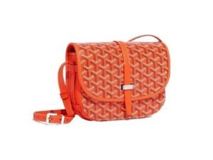 Luxury Goyard Wallet 15