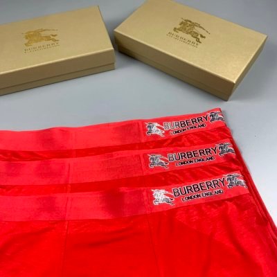 Burberry Cotton Underwear 2