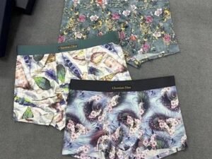Dior Premium Cotton Men's Underwear 12
