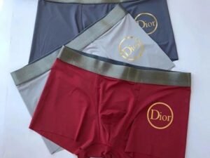 Dior Premium Cotton Men's Underwear 16